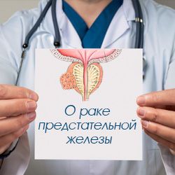 О раке предстательной железы