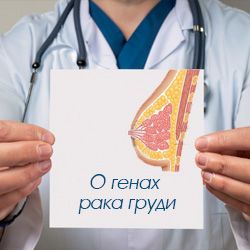 О генах рака груди