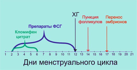 Короткий протокол 1.jpg